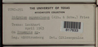 Image Associated With the Occurence